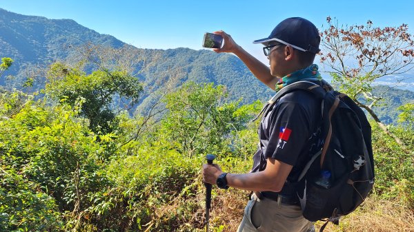 20251213白賓山走白賓名樹2963954