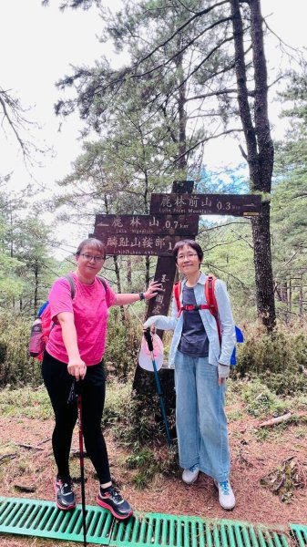 🌈9/13(日)塔加三連峰-麟趾山×鹿林前山×鹿林山FB：熊熊趴爬走(富裕登山社)🌈3118901