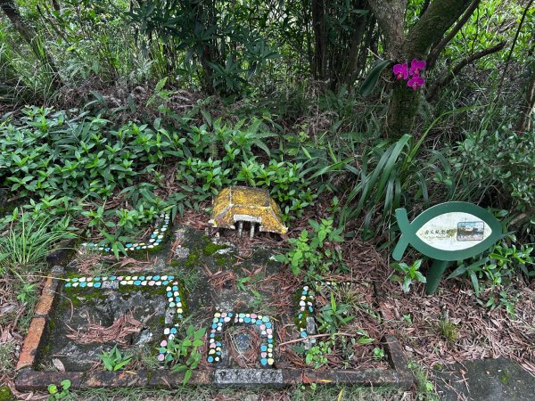 內湖鯉魚山之旅2811737