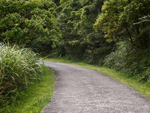 [淡蘭古道] 2026_0531 北路第一段_燦光寮古道(上)-草山戰備道3070673