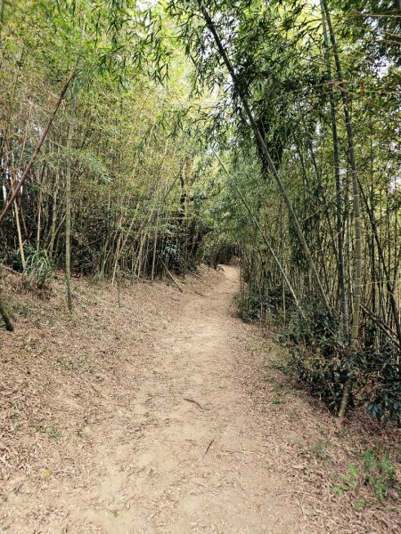 雲嘉大尖山、二尖山步道--(雲林)臺灣百大必訪步道2955765
