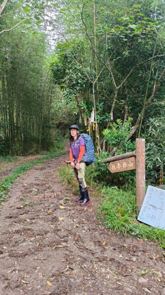 大混李棟重訓2883602