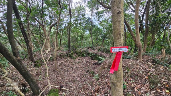 東勢大崙、東勢坑山、觀音湖山O走2986251