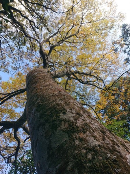 內鳥嘴山O走（煤源路線）二刷2369952