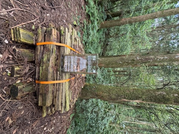 2025/04/04小百岳第022「東眼山」2753242