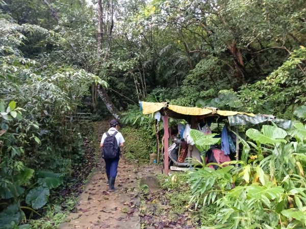 平溪區善覺寺步道+畝畝山北稜線+畝畝山+石硿子瀑布+灰窯瀑布O型2940003