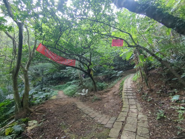 2026.01.25－微笑山線：【天上山系】烘爐地土地公段2994591