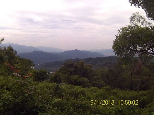 三峽-土城 天上山396606