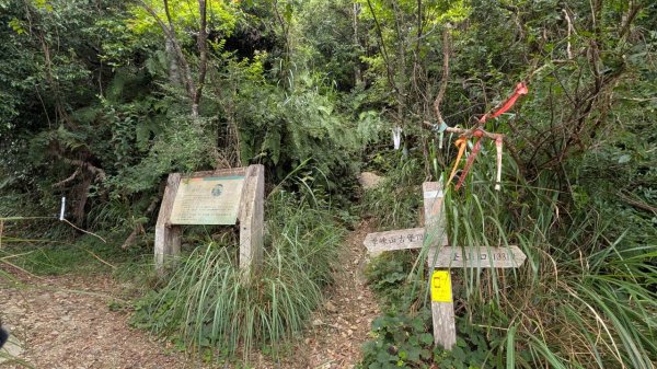 李崠山步道3093011