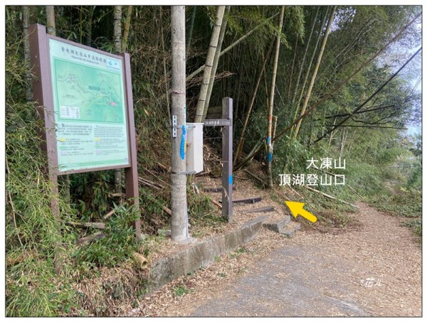 大凍山、頂湖步道 O型ㄧ圈2984159