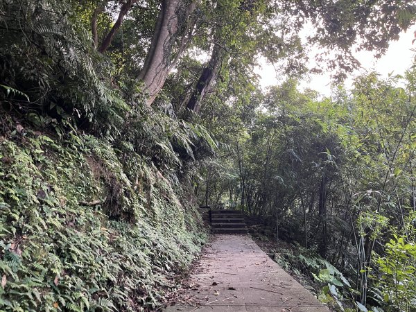 [微笑山線_第六段] 2025_0807 二格山系_和美山螢火蟲段2854614