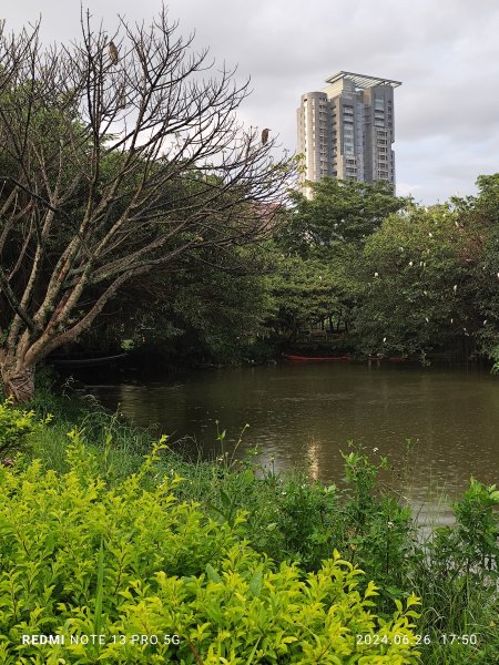 大安森林公園、寧夏夜市、士林夜市【走路趣尋寶】【臺北健走趣】2536331