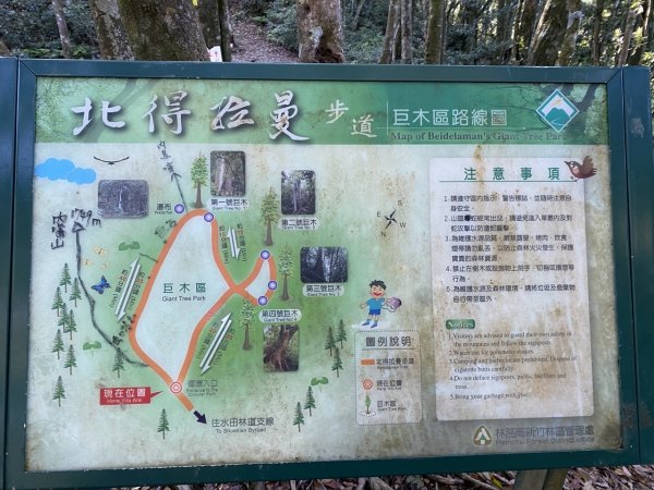 北得拉曼3060515