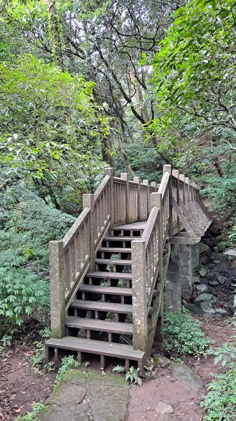 台北大縱走第一段1249207