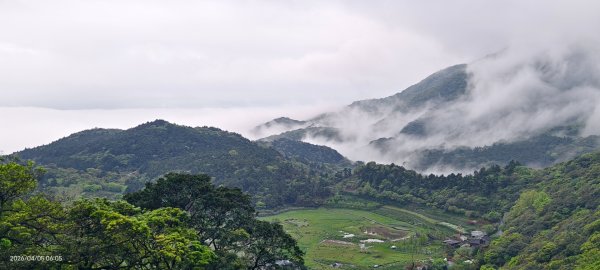 陽明山追雲趣 #天空之城 #石門嵩山梯田 #鳶尾花 #老梅綠石槽 4/5-63030190