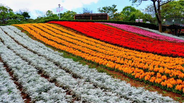 北投社三層崎3010990