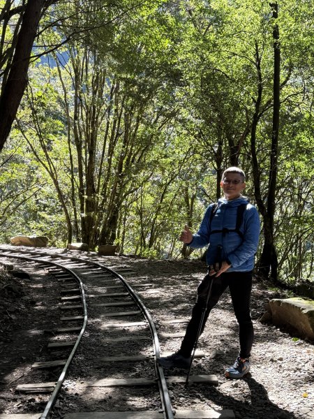 1141122特富野古道2995424