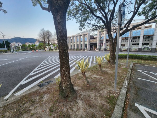 20250323慈湖草嶺山 ~ 五寮尖2781003