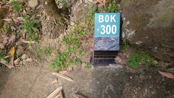 樟湖山、後棟仔山、大尖山、二尖山4山連走1337002