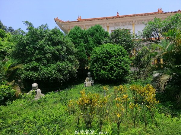 【基隆。仁愛】小百岳集起來。編號7小百岳~紅淡山步道1346374