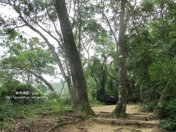 新竹峨眉~獅頭山 藤坪步道930509