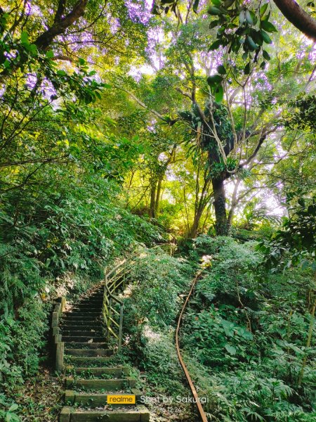 土庫岳（更寮古道） 海拔：389 小百岳141586427