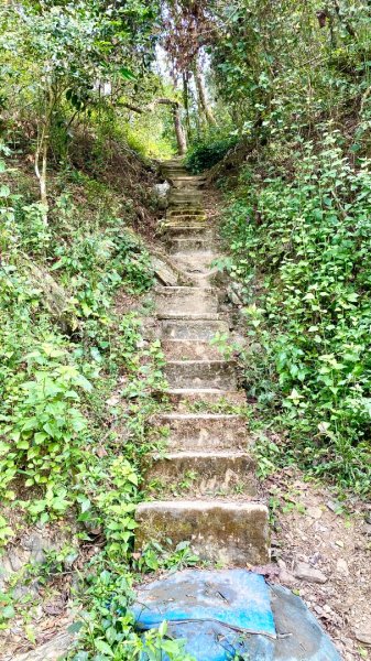 笠頂山(小百岳#76)2730830