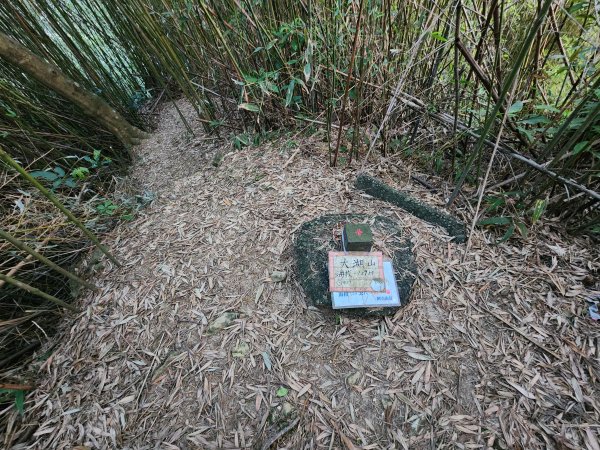 20260110大湖公園捷運站至擎天崗2993185