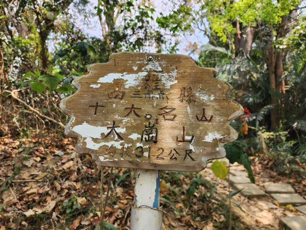 小百岳No.74⛰大崗山3025123