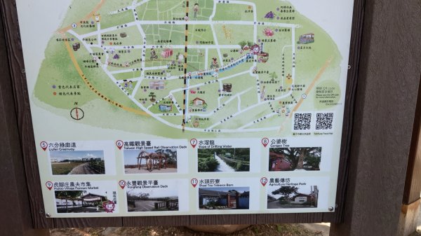 外埔水流東桐花步道819561