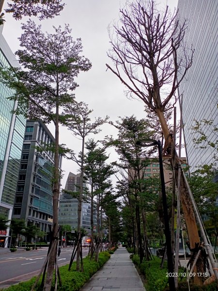 內湖大港墘公園、宏匯瑞光廣場、內湖運動中心【走路趣尋寶、健康大穀東】2310197