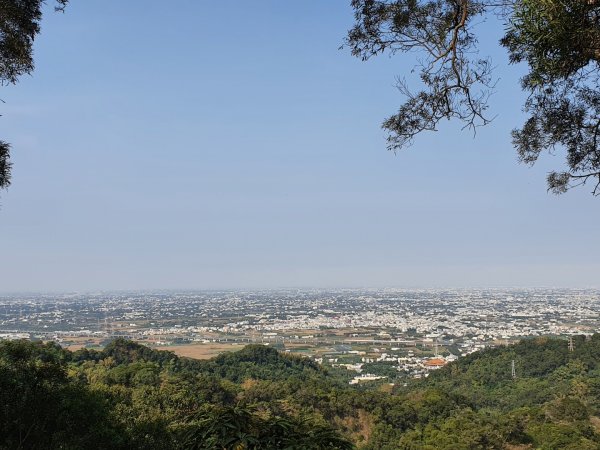 清水岩中央嶺造林步道1188955