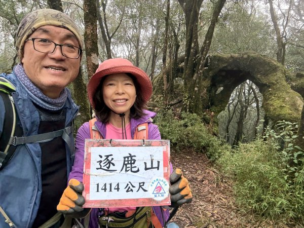 山毛櫸掉光光的 卡保逐鹿O繞 202511152937477