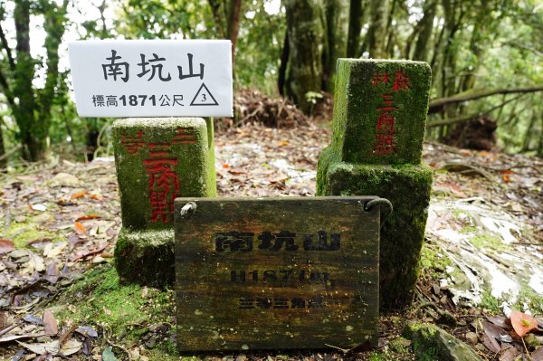 苗栗 泰安 南坑山