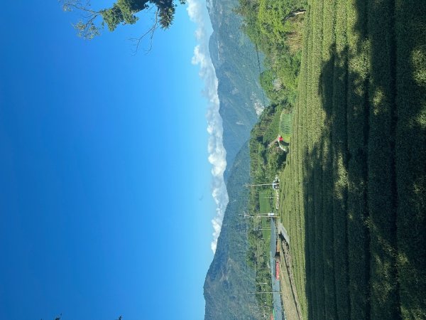 嘉義大凍山大塔山+紅毛埤山3067152