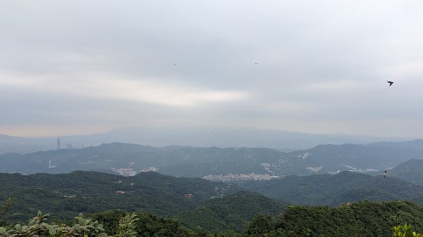 二格山登山步道 栳寮線2501006