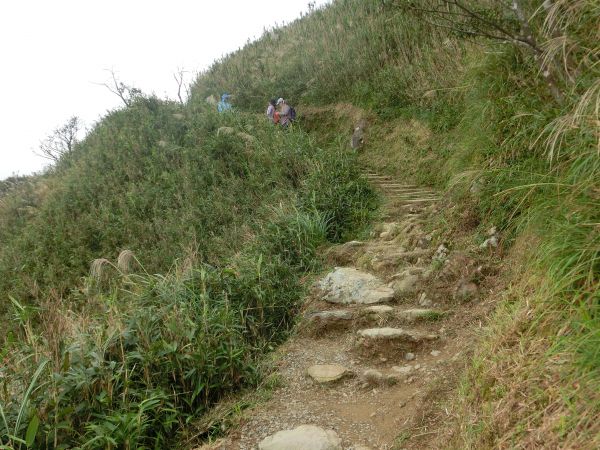 五峰旗瀑布．聖母登山步道198652