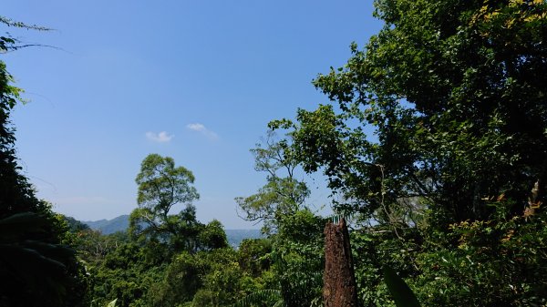 桃園溪洲山 ，熱鬧的小百岳1099798