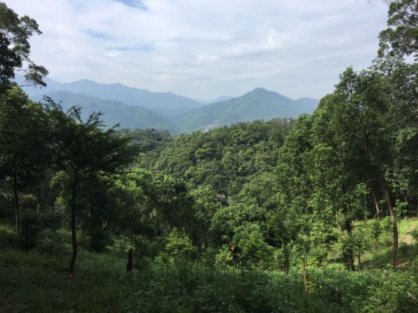 三峽-土城 天上山396600