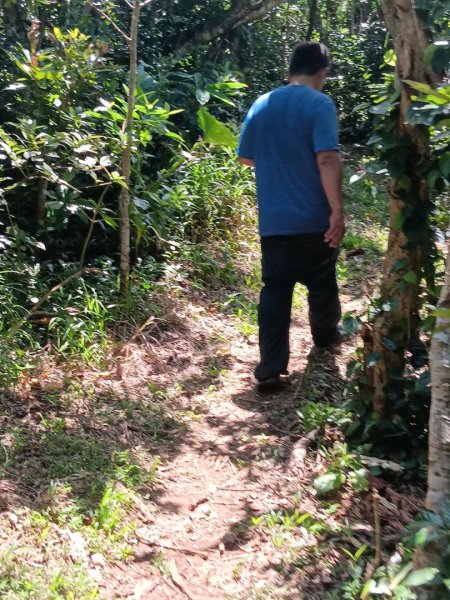 小天池步道（蘭嶼燈塔）2804755