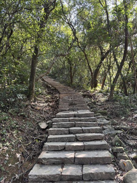 【宜蘭】草嶺古道2671447