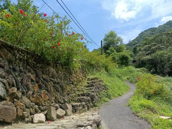 汐止區姜子寮田園步道+旗尾崙+姜子寮絕壁、瀑布O型2822237