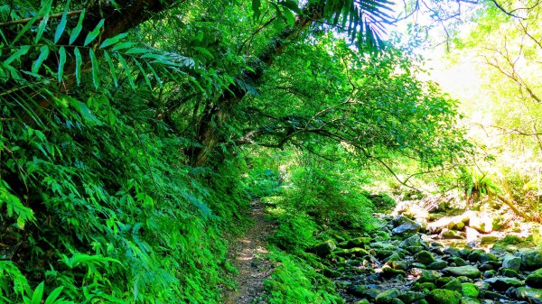 崩山坑越嶺內盤山2913768