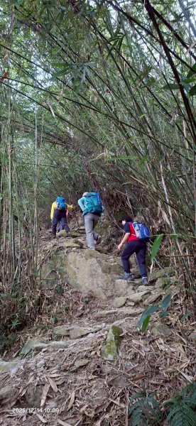 🌈12/14(日)南部最佳百岳練習場~小百岳-尾寮山✨FB：熊熊趴爬走🌈2961687