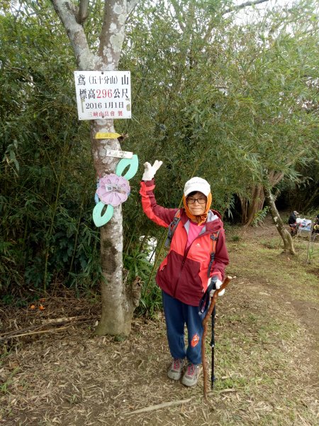 三峽鳶山+鳶山彩壁+五十分山(茅埔路起登)1876732