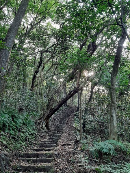 七星山系｜看盡草山百年滄桑1828186