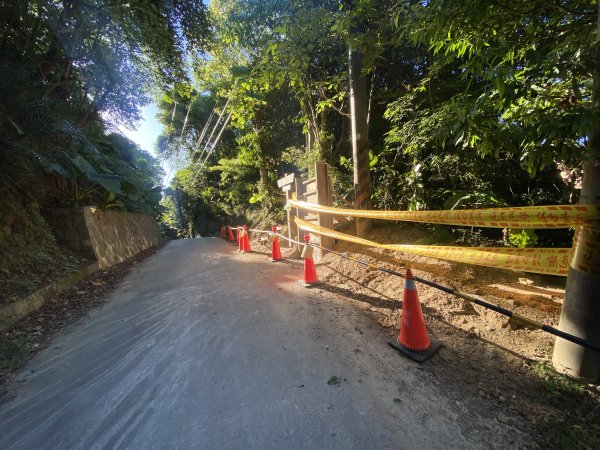 【四獸山 Short】虎豹象先行！獅山封閉中，等新步道開箱再相見2888839