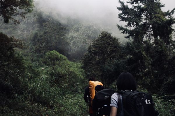 作伙來去北大武304394