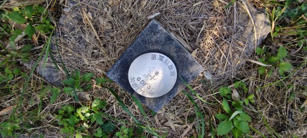 2026/01/04_龍峎頂+肚兜角步道2978157