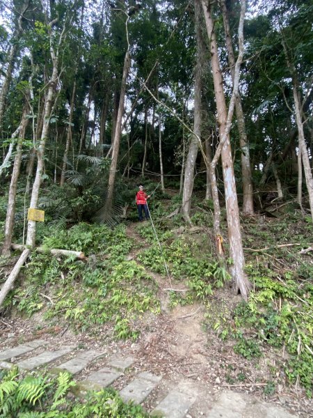 坐公車接駁的神仙縱走2707463